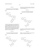 BENZAMIDES AND RELATED INHIBITORS OF FACTOR XA diagram and image