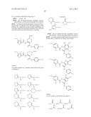 BENZAMIDES AND RELATED INHIBITORS OF FACTOR XA diagram and image