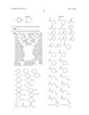 BENZAMIDES AND RELATED INHIBITORS OF FACTOR XA diagram and image