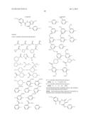 BENZAMIDES AND RELATED INHIBITORS OF FACTOR XA diagram and image