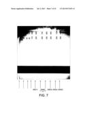 POLYMERIC COMPOSITION diagram and image