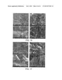 Method for Functionalization of Nanoscale Fibers and Nanoscale Fiber Films diagram and image