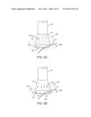 IN-VIVO VISUALIZATION SYSTEMS diagram and image