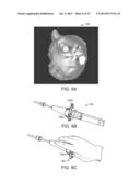 IN-VIVO VISUALIZATION SYSTEMS diagram and image