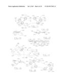 ORTHOPEDIC COMPRESSION PLATE AND METHOD OF SURGERY diagram and image