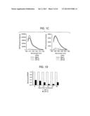 In Vivo Gene Silencing By Chemically Modified and Stable siRNA diagram and image