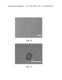 HIGH QUALITY LARGE SCALE SINGLE AND MULTILAYER GRAPHENE PRODUCTION BY     CHEMICAL VAPOR DEPOSITION diagram and image