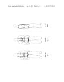 DS-001 Full-Body Safety Harness diagram and image