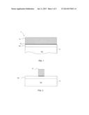 DAMASCENE METAL GATE AND SHIELD STRUCTURE, METHODS OF MANUFACTURE AND     DESIGN STRUCTURES diagram and image