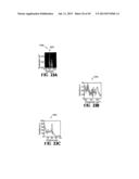 DUAL WINDOW PROCESSING SCHEMES FOR SPECTROSCOPIC OPTICAL COHERENCE     TOMOGRAPHY (OCT) AND FOURIER DOMAIN LOW COHERENCE INTERFEROMETRY diagram and image