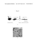 ELECTRIC DOUBLE-LAYER CAPACITOR diagram and image