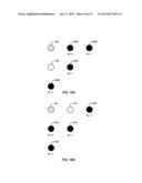 SIGNIFICANCE MAP SUPPORT FOR PARALLEL TRANSFORM COEFFICIENT PROCESSING IN     VIDEO CODING diagram and image