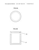 APPARATUS AND METHOD OF PROVIDING DUAL LINE SOURCE IRRADIATOR, DLSIR diagram and image