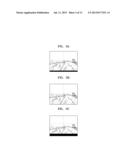 IMAGE ADJUSTING APPARATUS AND METHOD, AND IMAGE STABILIZING APPARATUS     INCLUDING THE SAME diagram and image