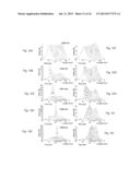 APPARATUS AND METHOD FOR GENERATING FEMTOSECOND PULSES VIA TEMPORAL     SOLITON COMPRESSION IN PHOTONIC CRYSTALS diagram and image