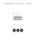 DIAGNOSTIC DEVICE FOR IDENTIFYING RUPTURE OF MEMBRANE DURING PREGNANCY diagram and image