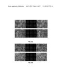 METHODS AND COMPOSITIONS FOR MODULATING OCULAR DAMAGE diagram and image