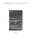 METHODS AND COMPOSITIONS FOR MODULATING OCULAR DAMAGE diagram and image