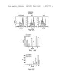 VISTA REGULATORY T CELL MEDIATOR PROTEIN, VISTA BINDING AGENTS AND USE     THEREOF diagram and image
