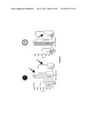 ANTI-HLA CLASS-Ib ANTIBODIES MIMIC IMMUNOREACTIVITY AND IMMUNOMODULATORY     FUNCTIONS OF INTRAVENOUS IMMUNOGLOBULIN (IVIg) USEFUL AS THERAPEUTIC IVIg     MIMETICS AND METHODS OF THEIR USE diagram and image