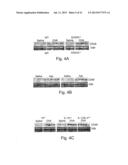 NOVEL THERAPEUTIC TARGET AND DIAGNOSTIC MARKER FOR ASTHMA AND RELATED     CONDITIONS diagram and image