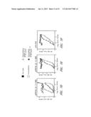 PAPILLOMAVIRUS L2 N-TERMINAL PEPTIDES FOR THE INDUCTION OF BROADLY     CROSS-NEUTRALIZING ANTIBODIES diagram and image