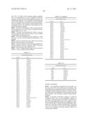 PAPILLOMAVIRUS L2 N-TERMINAL PEPTIDES FOR THE INDUCTION OF BROADLY     CROSS-NEUTRALIZING ANTIBODIES diagram and image