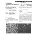 NANO-METALLIC ALLOY DELIVERY SYSTEM FOR TREATMENT OF INFECTED CELLS AND     LEGIONS diagram and image