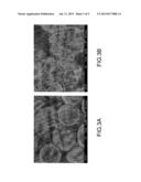 ANODE PROTECTOR OF LITHIUM-ION BATTERY AND METHOD FOR FABRICATING THE SAME diagram and image