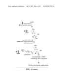 SELECTIVE OXIDATION OF 5-METHYLCYTOSINE BY TET-FAMILY PROTEINS diagram and image