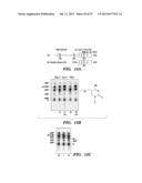 SELECTIVE OXIDATION OF 5-METHYLCYTOSINE BY TET-FAMILY PROTEINS diagram and image