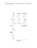 SELECTIVE OXIDATION OF 5-METHYLCYTOSINE BY TET-FAMILY PROTEINS diagram and image