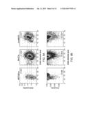 METHOD AND DEVICE FOR HIGH THROUGHPUT CELL DEFORMABILITY MEASUREMENTS diagram and image