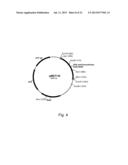 Methods of Improving the Introduction of DNA into Bacterial Cells diagram and image