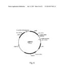 Methods of Improving the Introduction of DNA into Bacterial Cells diagram and image