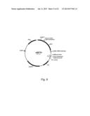 Methods of Improving the Introduction of DNA into Bacterial Cells diagram and image