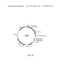 Methods of Improving the Introduction of DNA into Bacterial Cells diagram and image