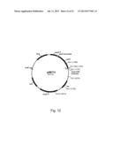 Methods of Improving the Introduction of DNA into Bacterial Cells diagram and image