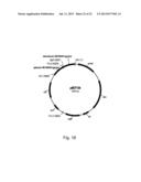 Methods of Improving the Introduction of DNA into Bacterial Cells diagram and image