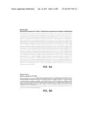 NOVEL GLYCOSYL HYDROLASE ENZYMES AND USES THEREOF diagram and image