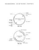 NOVEL GLYCOSYL HYDROLASE ENZYMES AND USES THEREOF diagram and image