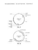 NOVEL GLYCOSYL HYDROLASE ENZYMES AND USES THEREOF diagram and image