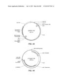 NOVEL GLYCOSYL HYDROLASE ENZYMES AND USES THEREOF diagram and image