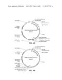 NOVEL GLYCOSYL HYDROLASE ENZYMES AND USES THEREOF diagram and image