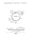 AMYLASE FROM NESTERENKONIA AND METHODS OF USE, THEREOF diagram and image