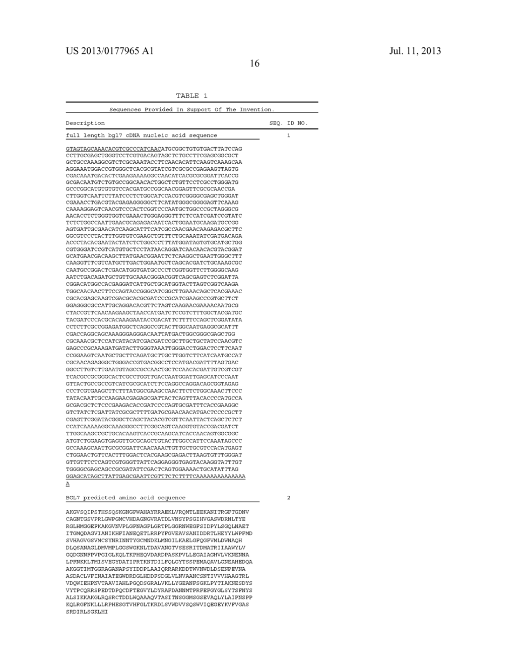 BGL7 Beta-Glucosidase and Nucleic Acids Encoding the Same - diagram, schematic, and image 19