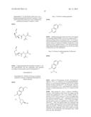 HCV NS3 PROTEASE INHIBITORS diagram and image