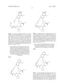 HCV NS3 PROTEASE INHIBITORS diagram and image