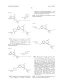 NOVEL GLP-1 RECEPTOR MODULATORS diagram and image