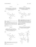 NOVEL ANTIVIRAL AGENTS diagram and image